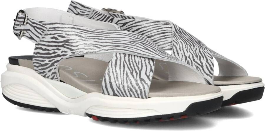 XSENSIBLE Sandalen Dames 30036.5 Maat: 41 Materiaal: Suède Kleur: Wit