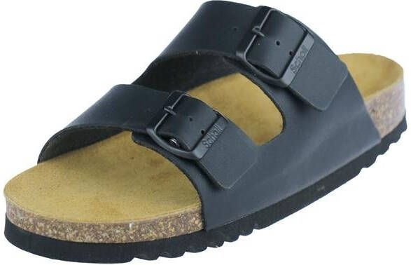 Scholl Andrea