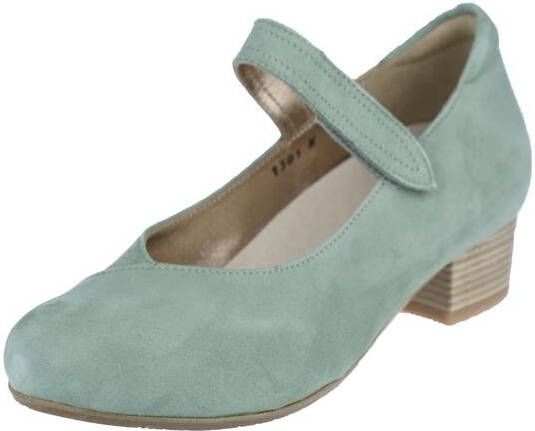 Verhulst 1301-25-58 Pumps