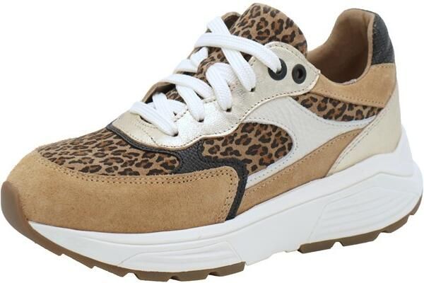 Xsensible Ponte Vecchio