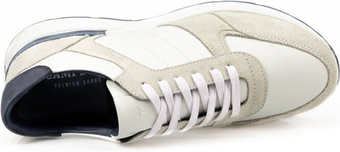 campbell Classic Heren Sneakers