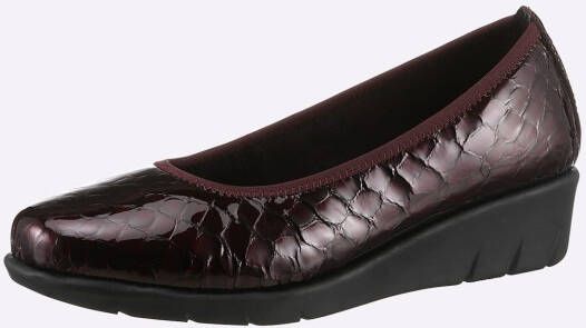 Classic Basics Ballerina's