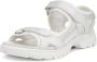 ECCO OFFROAD–Sandalen–Vrouwen–Wit iriserend–38 - Thumbnail 3