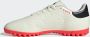 Adidas Copa Pure .2 Club TF Ivory Core Black Solar Red- Ivory Core Black Solar Red - Thumbnail 7