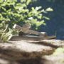 Adidas TERREX Outdoorsandalen TERREX HYDROTERRA LIGHT SANDALE - Thumbnail 12