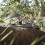Adidas TERREX Outdoorsandalen TERREX HYDROTERRA LIGHT SANDALE - Thumbnail 14