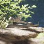 Adidas TERREX Outdoorsandalen TERREX HYDROTERRA LIGHT SANDALE - Thumbnail 5