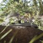 Adidas TERREX Outdoorsandalen TERREX HYDROTERRA LIGHT SANDALE - Thumbnail 6