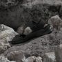 Adidas TERREX Outdoorsandalen TERREX HYDROTERRA SANDALE - Thumbnail 13