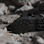 Adidas TERREX Outdoorsandalen TERREX HYDROTERRA SANDALE - Thumbnail 7