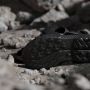 Adidas TERREX Outdoorsandalen TERREX HYDROTERRA SANDALE - Thumbnail 7