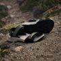 Adidas TERREX Outdoorsandalen TERREX HYDROTERRA SANDALE - Thumbnail 19