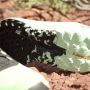 Adidas TERREX Runningschoenen TERREX AGRAVIC FLOW 2.0 TRAILRUNNING - Thumbnail 5