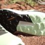 Adidas TERREX Runningschoenen TERREX TRAIL RIDER TRAILRUNNING - Thumbnail 15