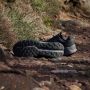 Adidas TERREX Runningschoenen TERREX SOULSTRIDE FLOW GORE-TEX TRAILRUNNING - Thumbnail 11