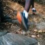 Adidas TERREX Trail Rider GORE-TEX Trail Running Schoenen Unisex Blauw - Thumbnail 9