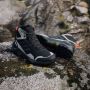 Adidas Terrex Eastrail 2 Mid Rain.RDY Wandelschoenen zwart - Thumbnail 18