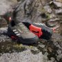 Adidas Terrex AX4 Multisportschoenen zwart - Thumbnail 19