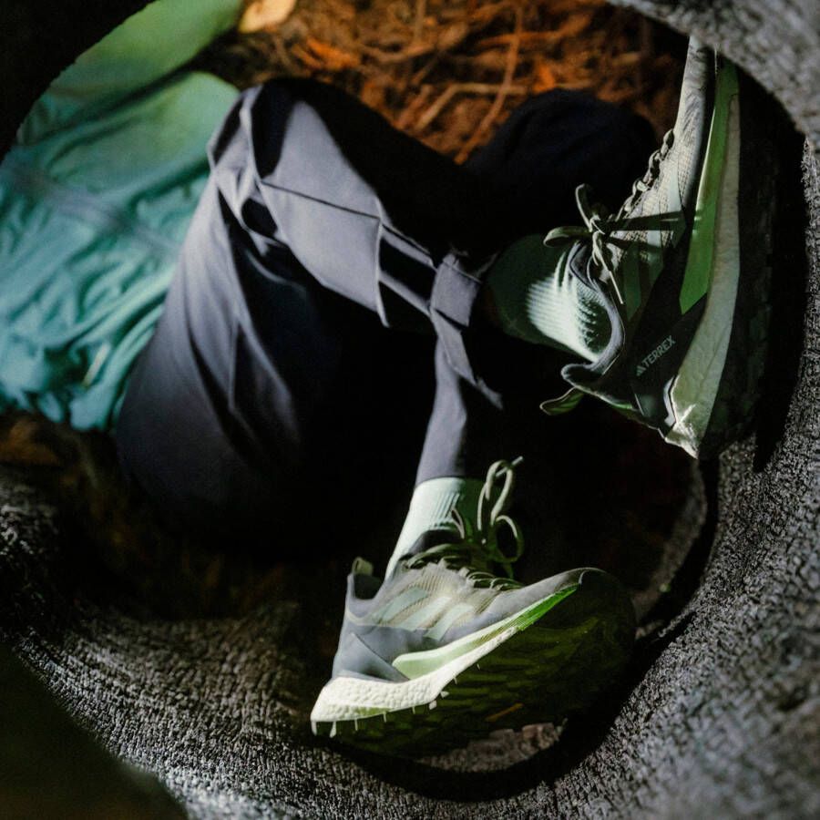 adidas TERREX Wandelschoenen TERREX FREE HIKER 2 LOW Gore-Tex