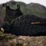 Adidas TERREX Free Hiker 2.0 GORE-TEX Hiking Schoenen Heren Zwart - Thumbnail 14