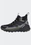 Adidas TERREX Free Hiker 2.0 GORE-TEX Hiking Schoenen Unisex Zwart - Thumbnail 34