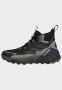 Adidas TERREX Free Hiker 2.0 GORE-TEX Hiking Schoenen Unisex Zwart - Thumbnail 12