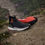 Adidas TERREX Free Hiker 2.0 GORE-TEX Hiking Schoenen Unisex Grijs - Thumbnail 6