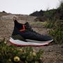 Adidas TERREX Free Hiker 2.0 GORE-TEX Hiking Schoenen Unisex Grijs - Thumbnail 36