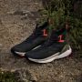Adidas TERREX Free Hiker 2.0 GORE-TEX Hiking Schoenen Unisex Grijs - Thumbnail 39