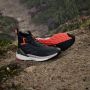 Adidas TERREX Free Hiker 2.0 GORE-TEX Hiking Schoenen Unisex Grijs - Thumbnail 40