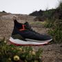 Adidas TERREX Free Hiker 2.0 GORE-TEX Hiking Schoenen Unisex Grijs - Thumbnail 8