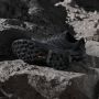 Adidas Terrex Skychaser Multisportschoenen zwart - Thumbnail 6