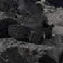 Adidas TERREX Wandelschoenen TERREX SKYCHASER AX5 E - Thumbnail 4