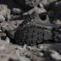 Adidas Terrex Skychaser AX5 Multisportschoenen 1 3 grijs - Thumbnail 10
