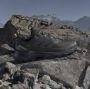 Adidas Terrex Skychaser AX5 Multisportschoenen 1 3 grijs - Thumbnail 12