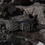 Adidas Terrex Skychaser AX5 GORE-TEX Multisportschoenen 2 3 grijs - Thumbnail 4