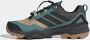 Adidas Terrex Skychaser GTX Multisportschoenen 1 3 grijs - Thumbnail 6