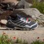 Adidas Terrex Skychaser GTX Multisportschoenen 2 3 grijs zwart - Thumbnail 6