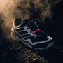 Adidas Terrex Skychaser GTX Multisportschoenen 2 3 grijs zwart - Thumbnail 9