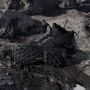 Adidas Terrex Skychaser Mid GTX Wandelschoenen zwart grijs - Thumbnail 39