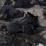 Adidas Terrex Skychaser Mid GTX Wandelschoenen zwart grijs - Thumbnail 7
