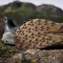 Adidas TERREX Trailmaker 2 GORE-TEX Speed Lace Hiking Schoenen Heren Groen - Thumbnail 10