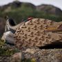 Adidas Terrex Trailmaker 2 GTX Speed Lacing Multisportschoenen 1 3 bruin beige - Thumbnail 7