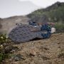 Adidas TERREX Trailmaker 2 GORE-TEX Speed Lace Hiking Schoenen Unisex Grijs - Thumbnail 16