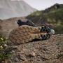 Adidas TERREX Trailmaker 2.0 Mid GORE-TEX Hiking Schoenen Heren Grijs - Thumbnail 12