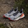 Adidas Terrex Free Hiker 2.0 Low Goretex Wandelschoenen Grijs 1 3 Man - Thumbnail 6
