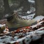 Adidas TERREX Winterlaarzen TERREX SNOWPITCH COLD.RDY Snowboots winterlaarzen winterschoenen waterdicht en gevoerd - Thumbnail 13
