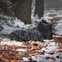 Adidas TERREX Snowpitch COLD.RDY Hiking Schoenen Unisex Zwart - Thumbnail 4