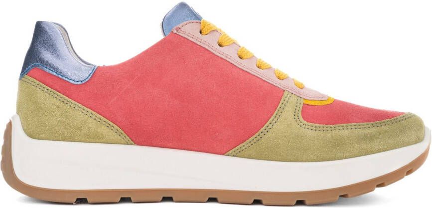Ara Sneakers met sleehak New York pride sneaker veterschoen in comfortabele breedte h (= zeer breed)