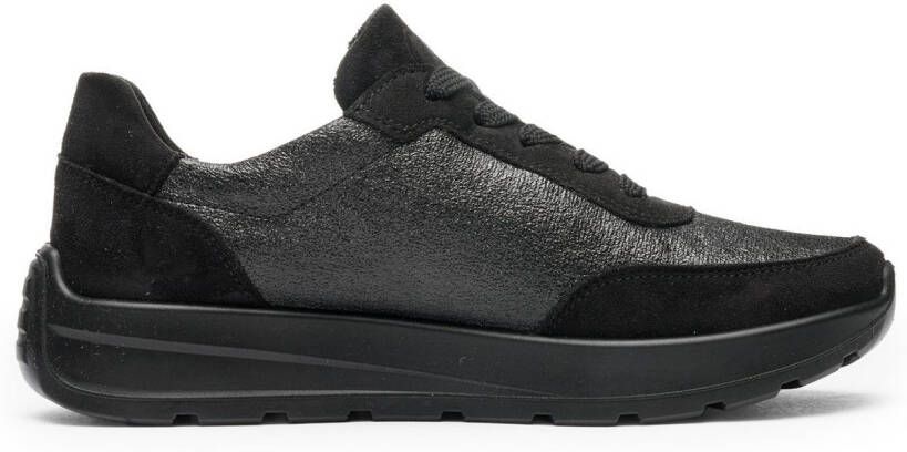 Ara Sneakers New York